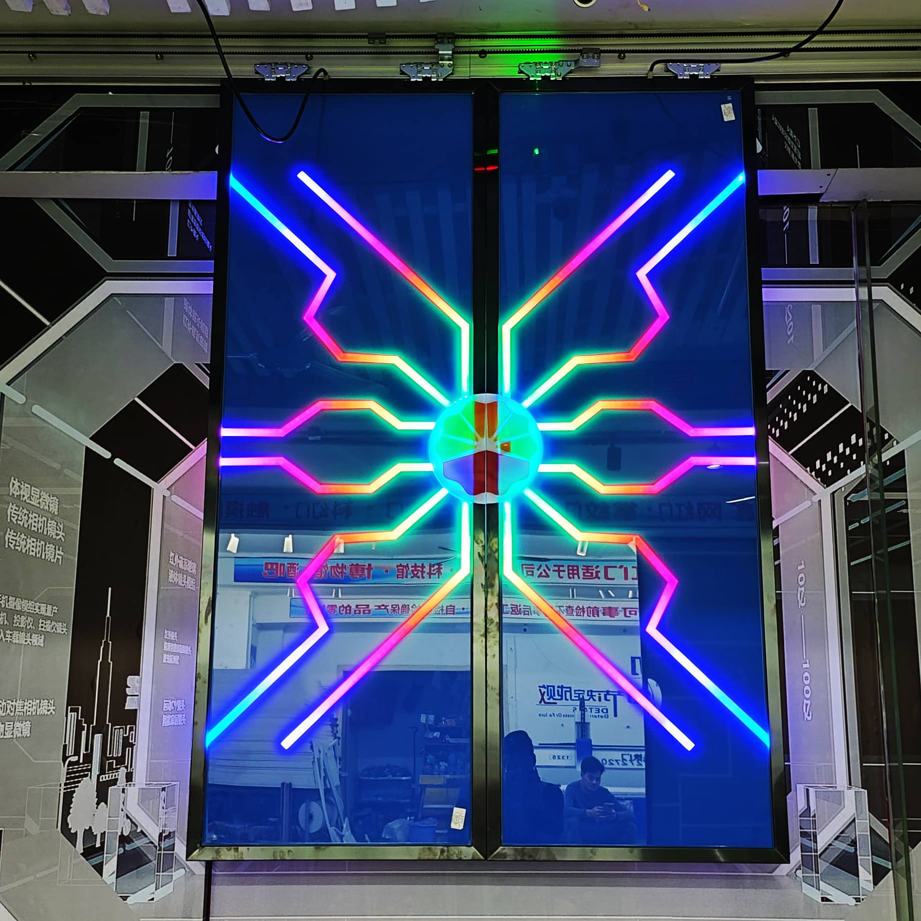 高科技电动门 网红掌纹科技门